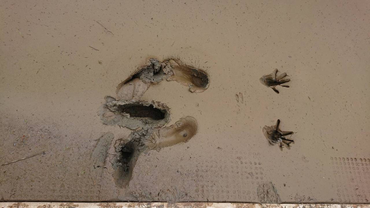 豪快にダイブ（手足型、かわいい♡）