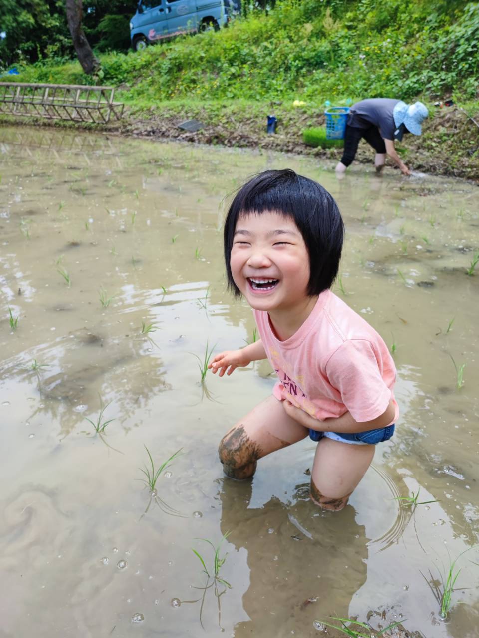 里山農業,有機農業,無農薬,オーガニック,棚田米,富山,限界集落