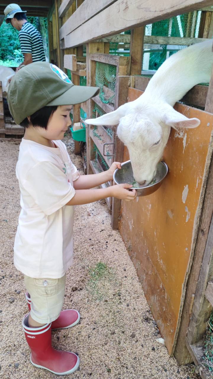 里山農業,有機農業,無農薬,オーガニック,棚田米,富山,限界集落
