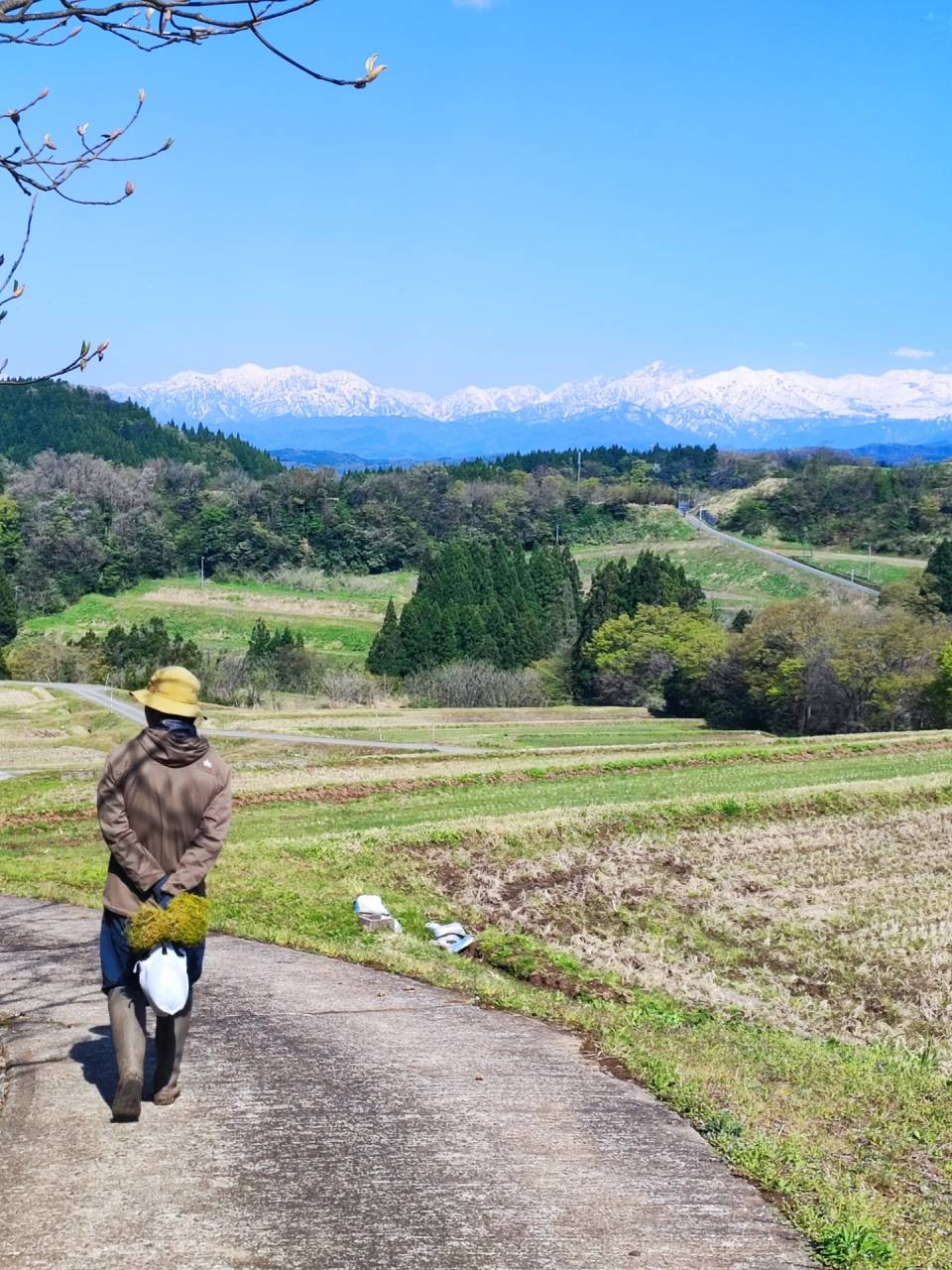 里山農業,有機農業,無農薬,オーガニック,棚田米,富山,限界集落