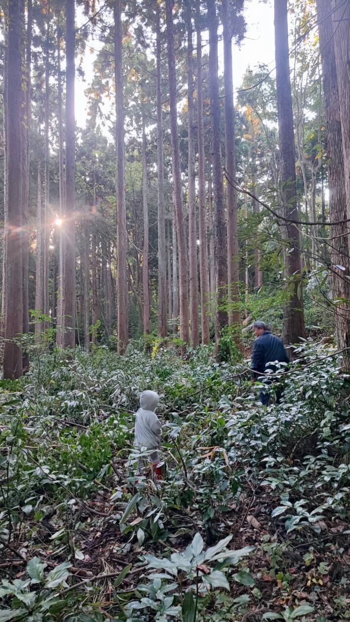 里山農業,有機農業,無農薬,オーガニック,棚田米,富山,限界集落
