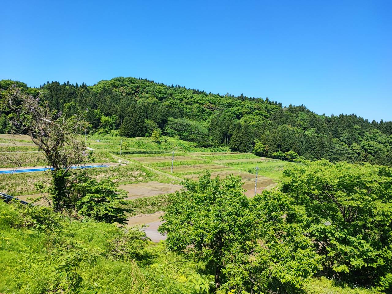 里山農業,有機農業,無農薬,オーガニック,棚田米,富山,限界集落