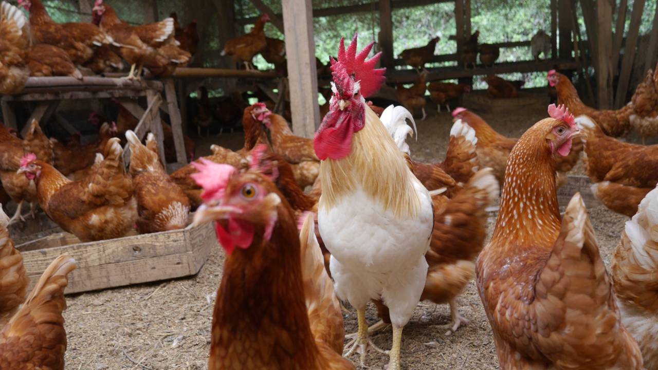 有限会社土遊野