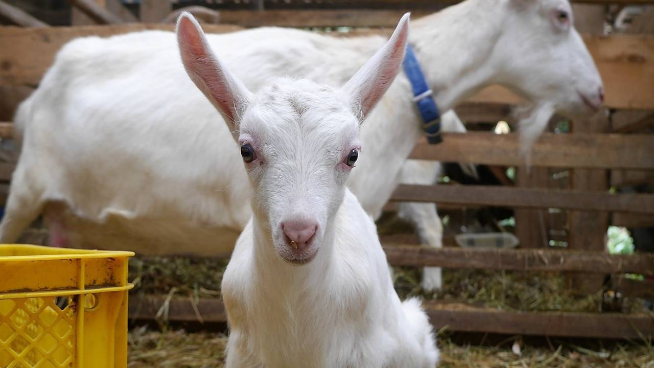 有限会社土遊野