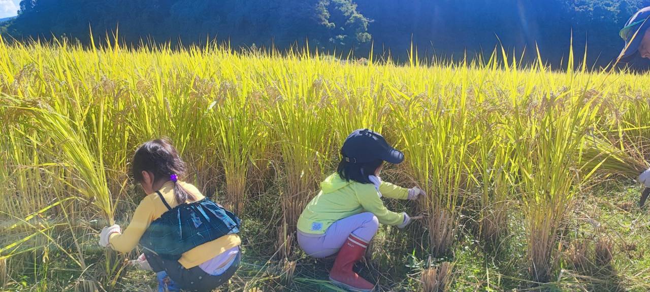 土遊野通信 Vol.46