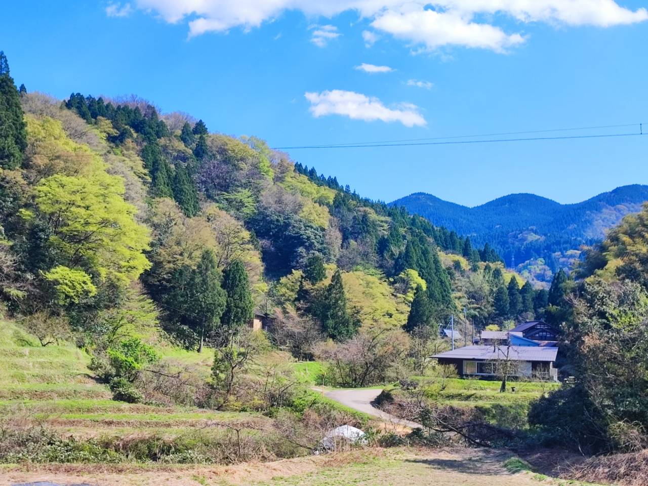 土遊野通信Vol.50