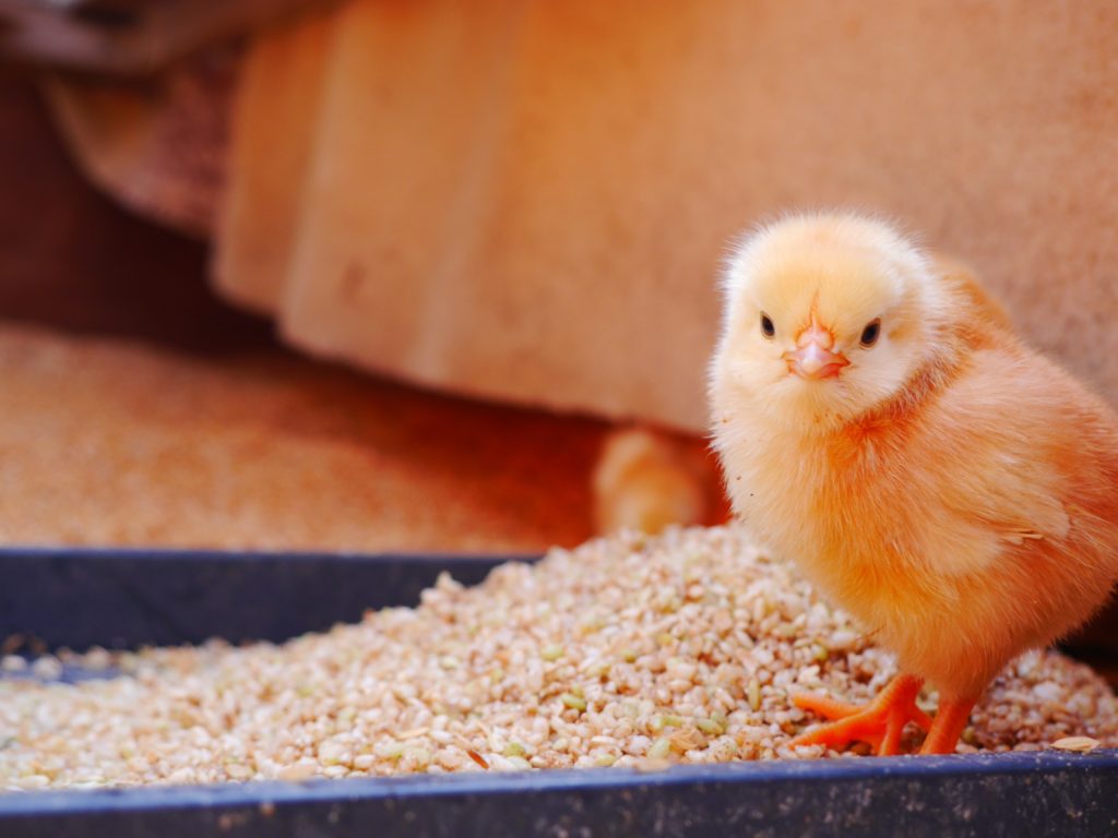 土遊野通信2020.9月号