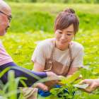 土遊野農場について