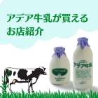 アデア牛乳が買えるお店紹介