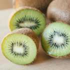 土遊野通信 Vol.48