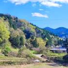 土遊野通信Vol.50